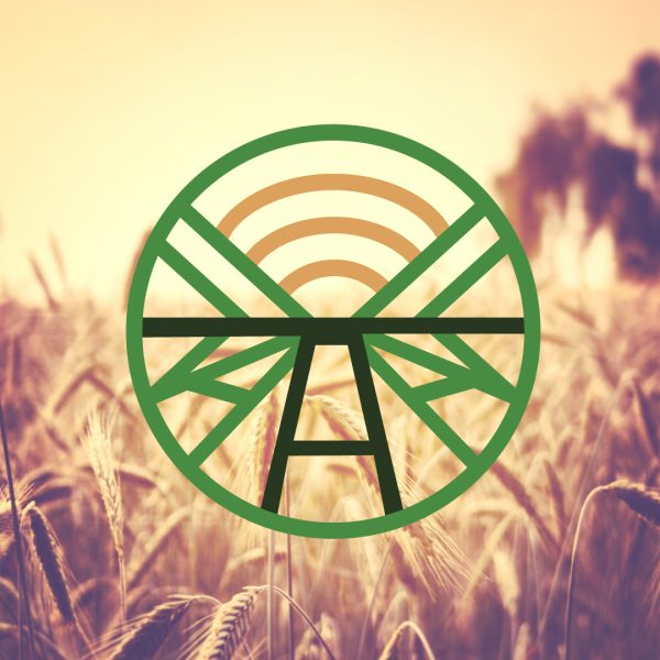 Kāpēc profesionāls dizains ir Tavas zīmola izaugsmes pamats